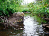 Big Otter Creek