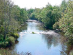 Stoney Brook
