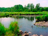 Annamhasung Creek
